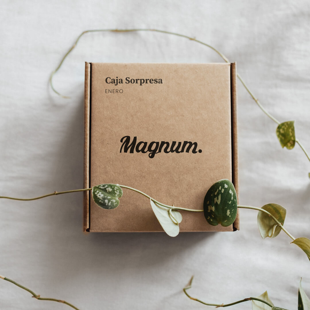 Imagen de la cuadrada de cartón de la marca Magnum.